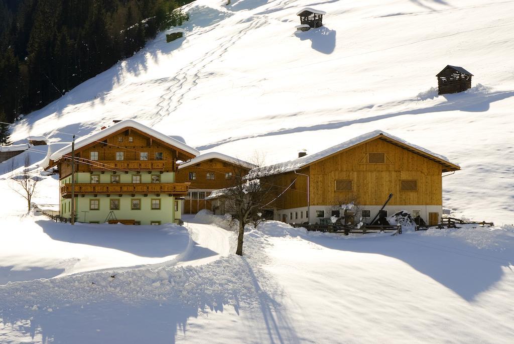 Kleinellmauhof Apartamento Grossarl Exterior foto